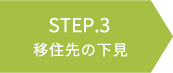 STEP03