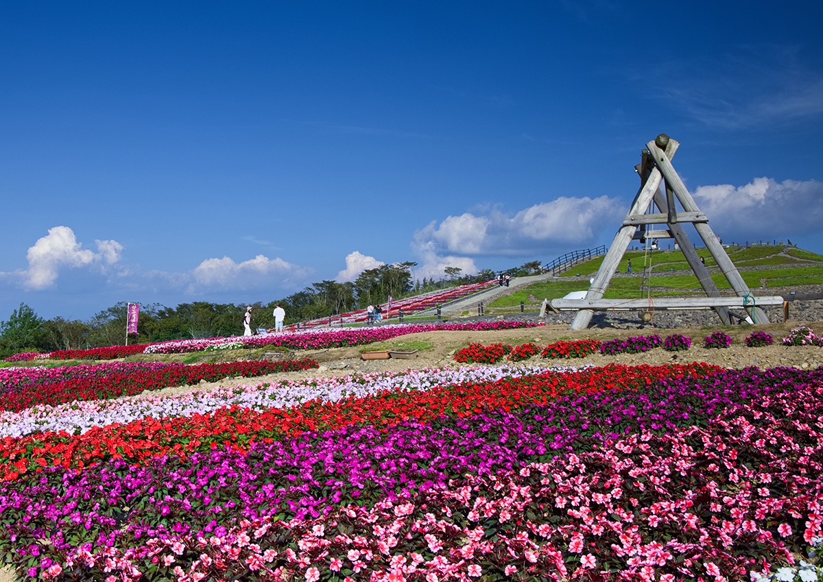 天空のパレット