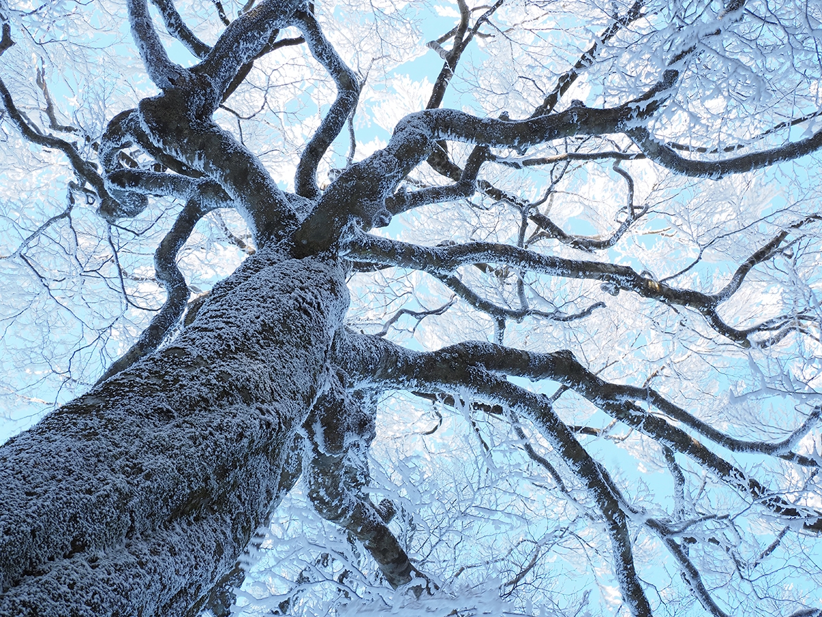 メンドーサの峰