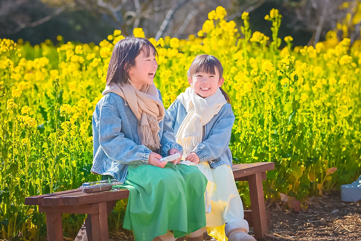 菜の花に包まれて
