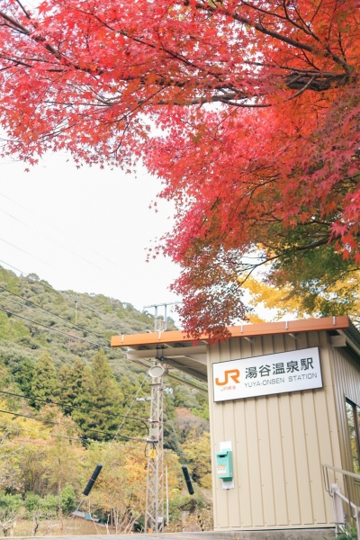 まずは、紅葉がお出迎え